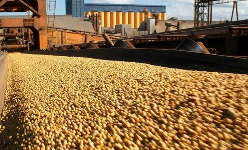 巴拉圭國(guó)內(nèi)呼聲高漲 中巴建交前景下的南美外交新動(dòng)向